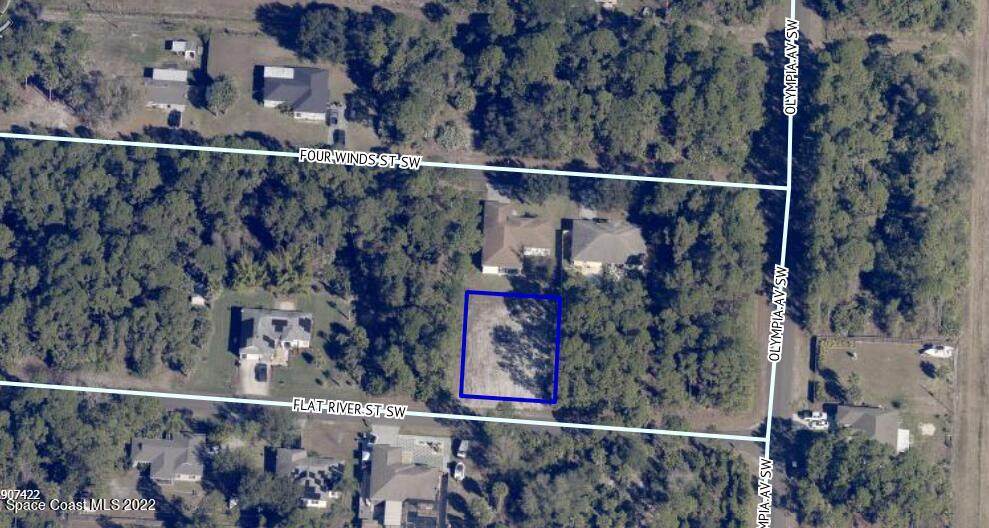 419 Flat River Street - Photo 1