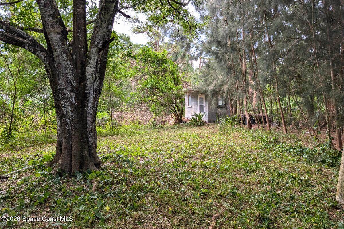 2465 Green Street - Photo 1