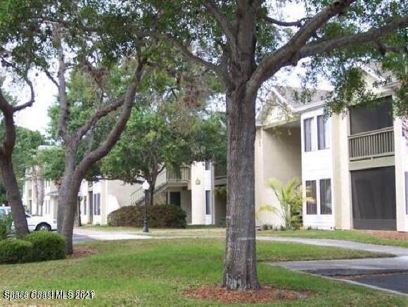 3504 Sable Palm Lane - Photo 1