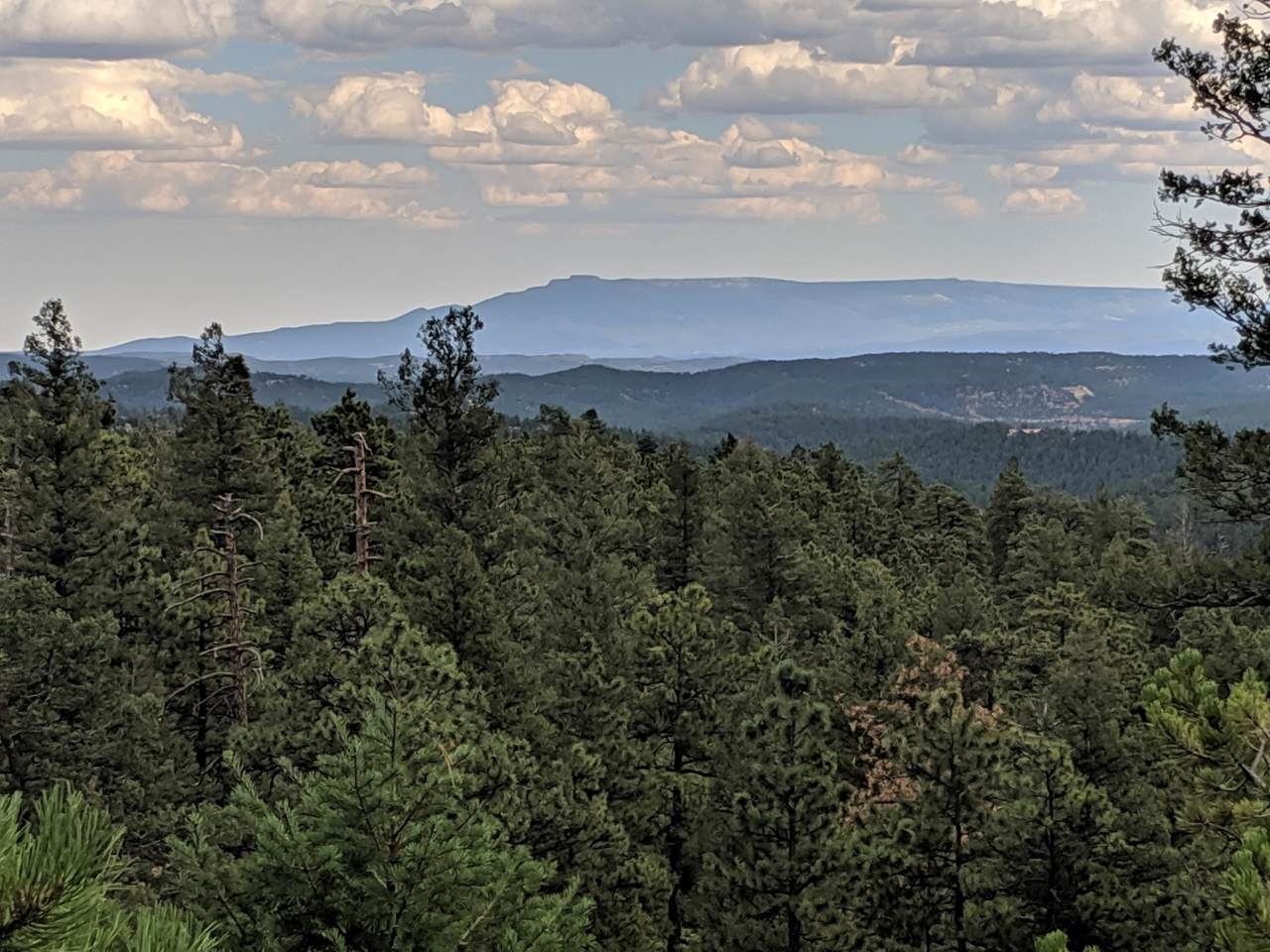 TBD North Fork Ranch - Photo 1