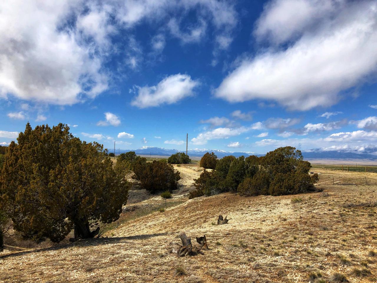 Turkey Ridge Ranch - Photo 1
