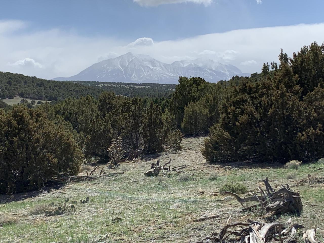 Silver Spurs Ranch - Photo 1