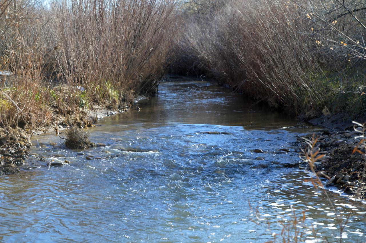 TBD Lonesome Whistle Rd - Photo 1