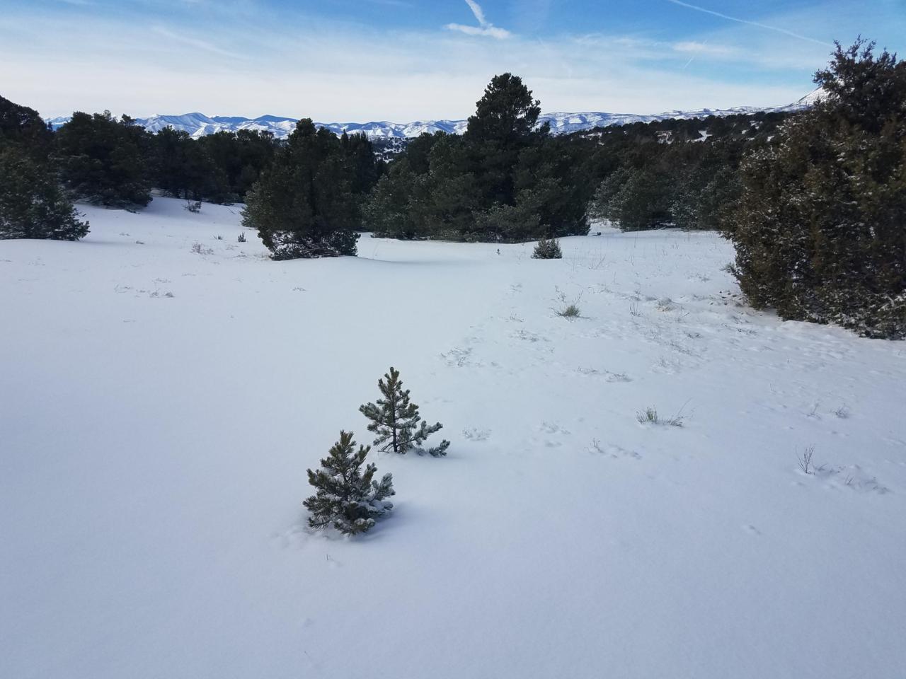 Lot 19 Navajo Ranch # 3 - Photo 1