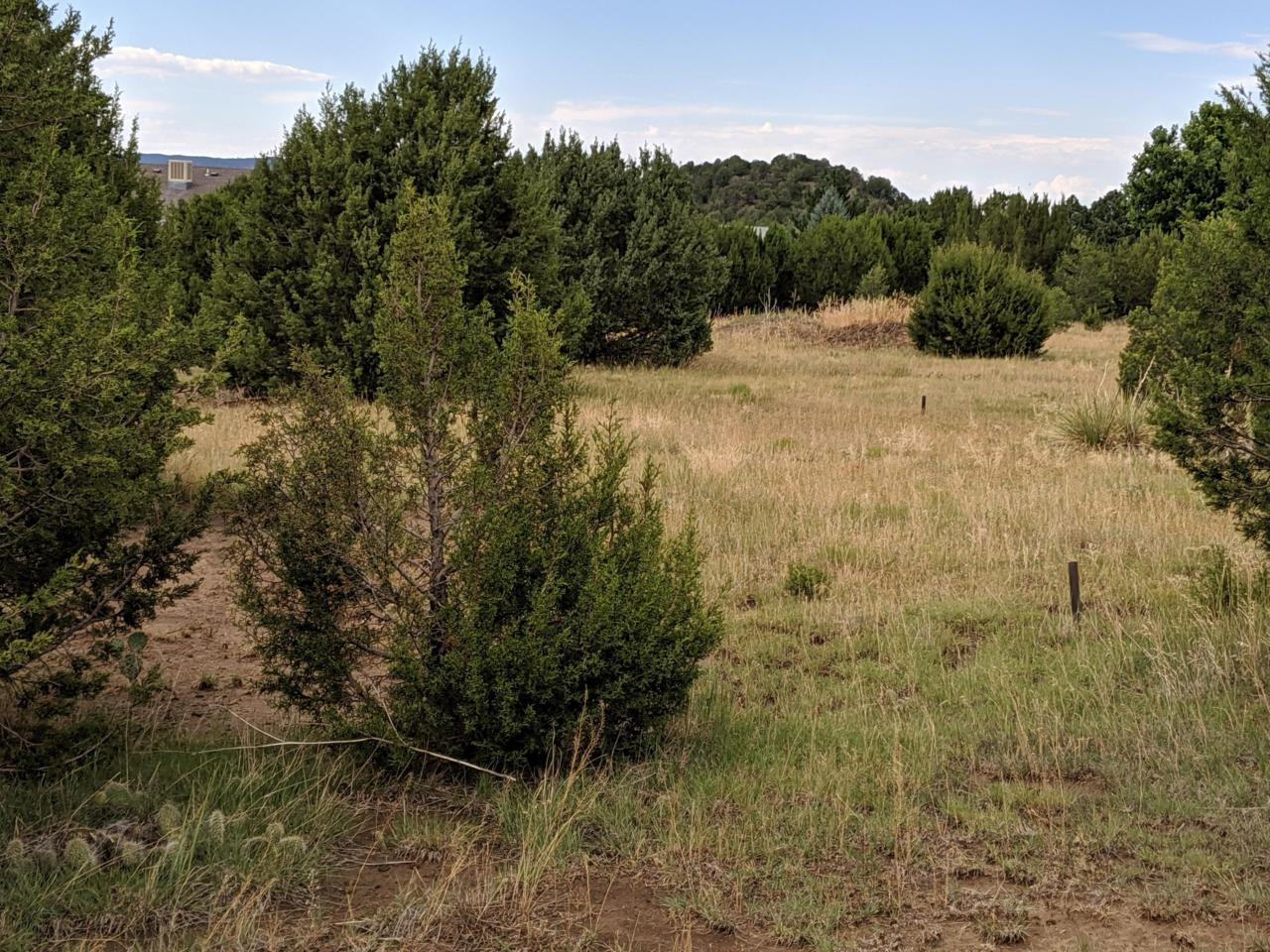 TBD Moores Canyon Rd - Photo 1