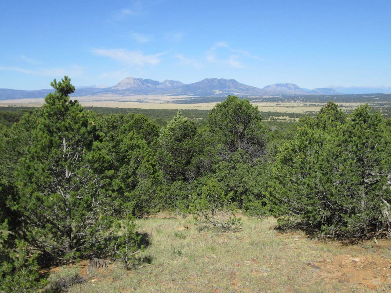 142 River Ridge Ranch Phase #6 - Photo 1