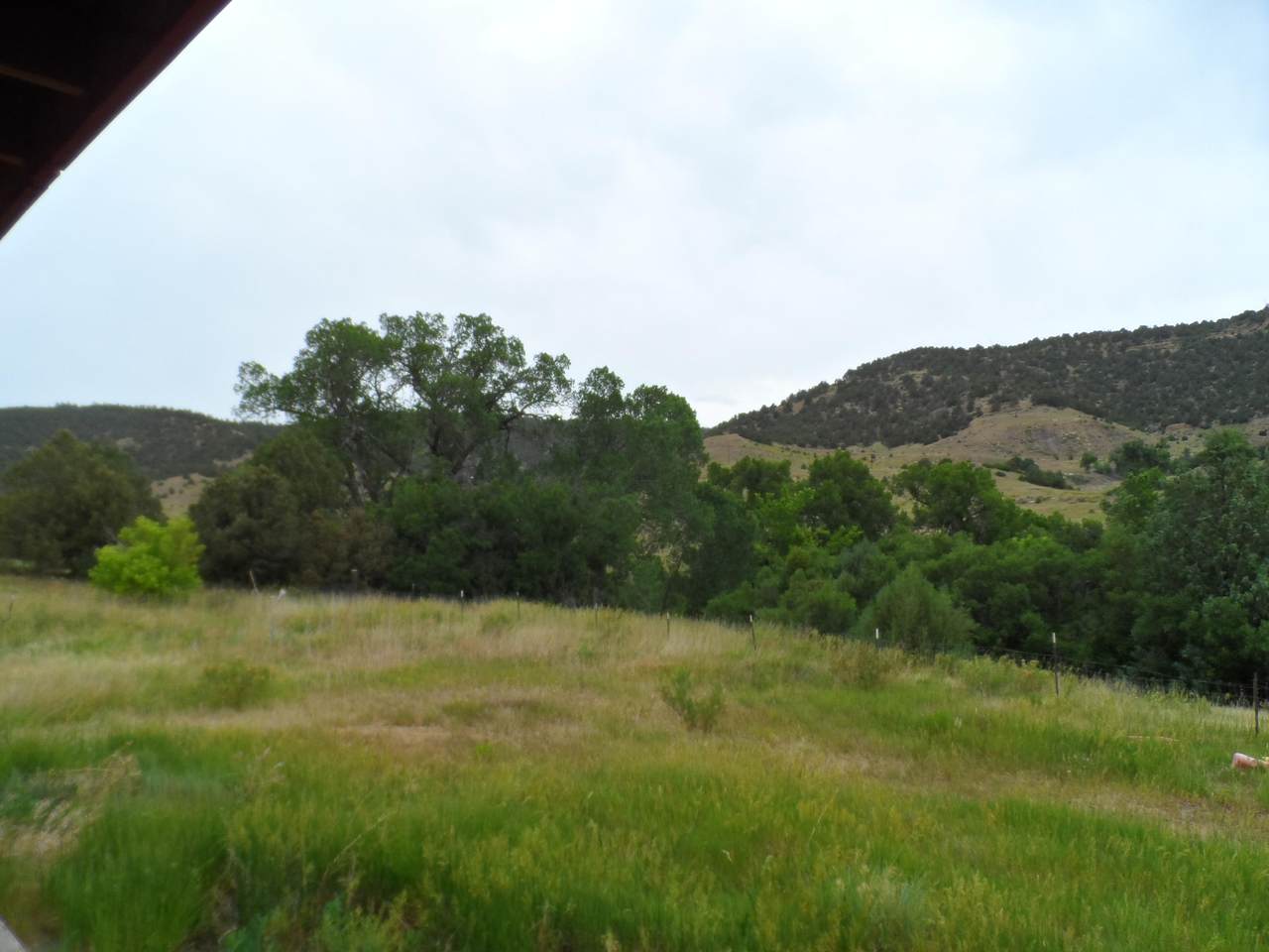 26650 County Road 44 - Photo 1