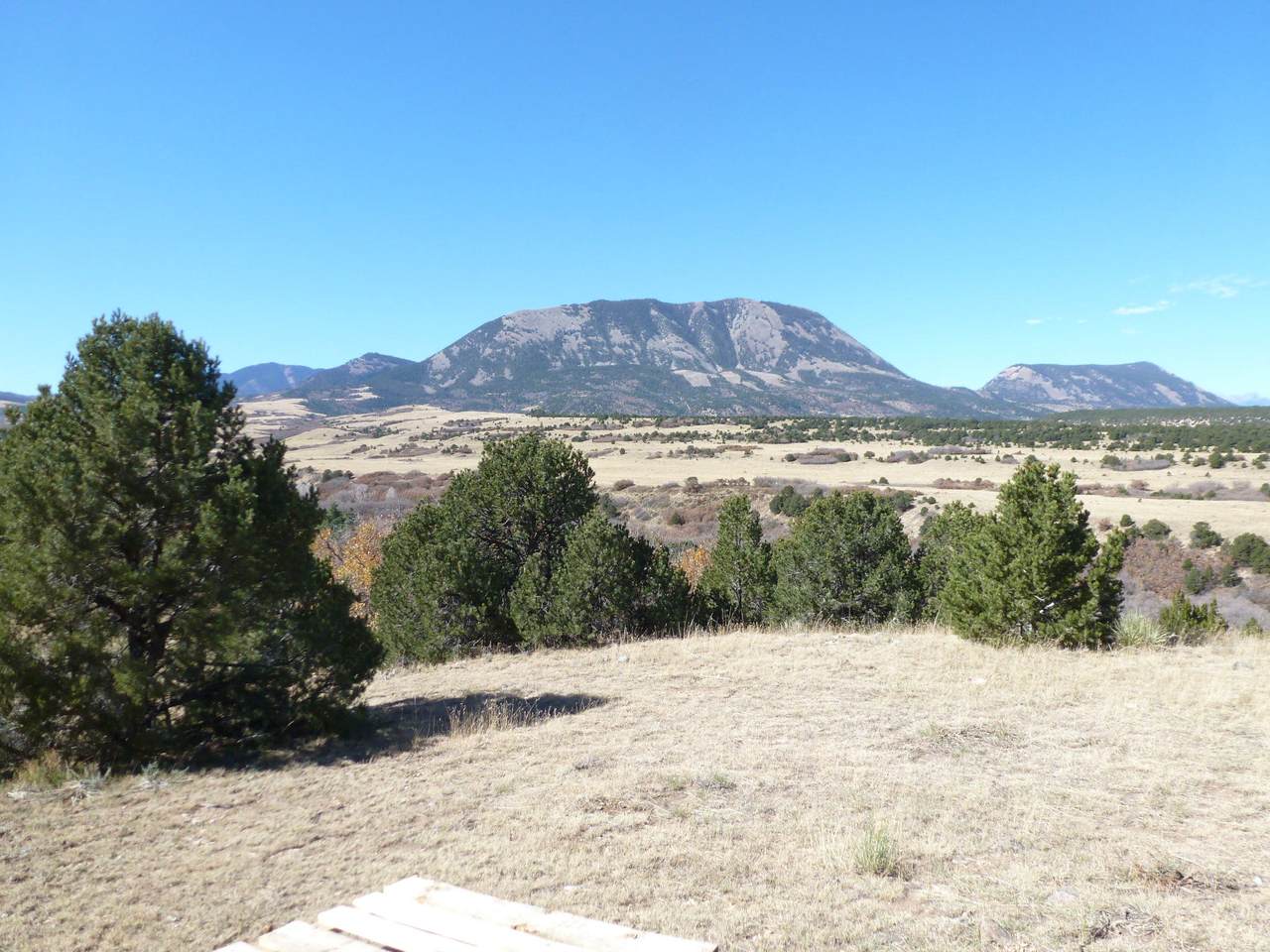 Lot 79 Colorado Land And Grazing Ranc - Photo 1