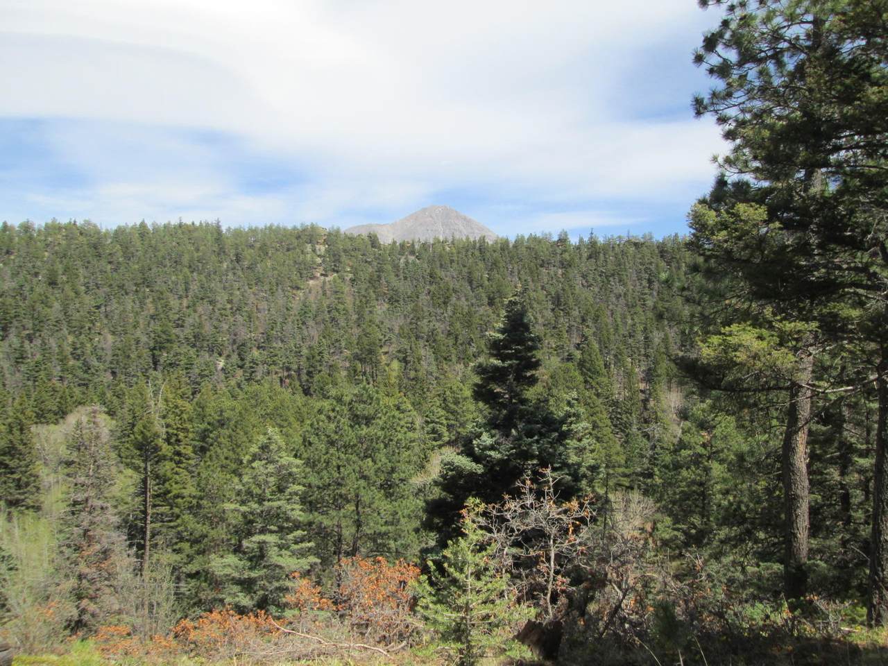 TBD Pinehaven Resorts - Photo 1