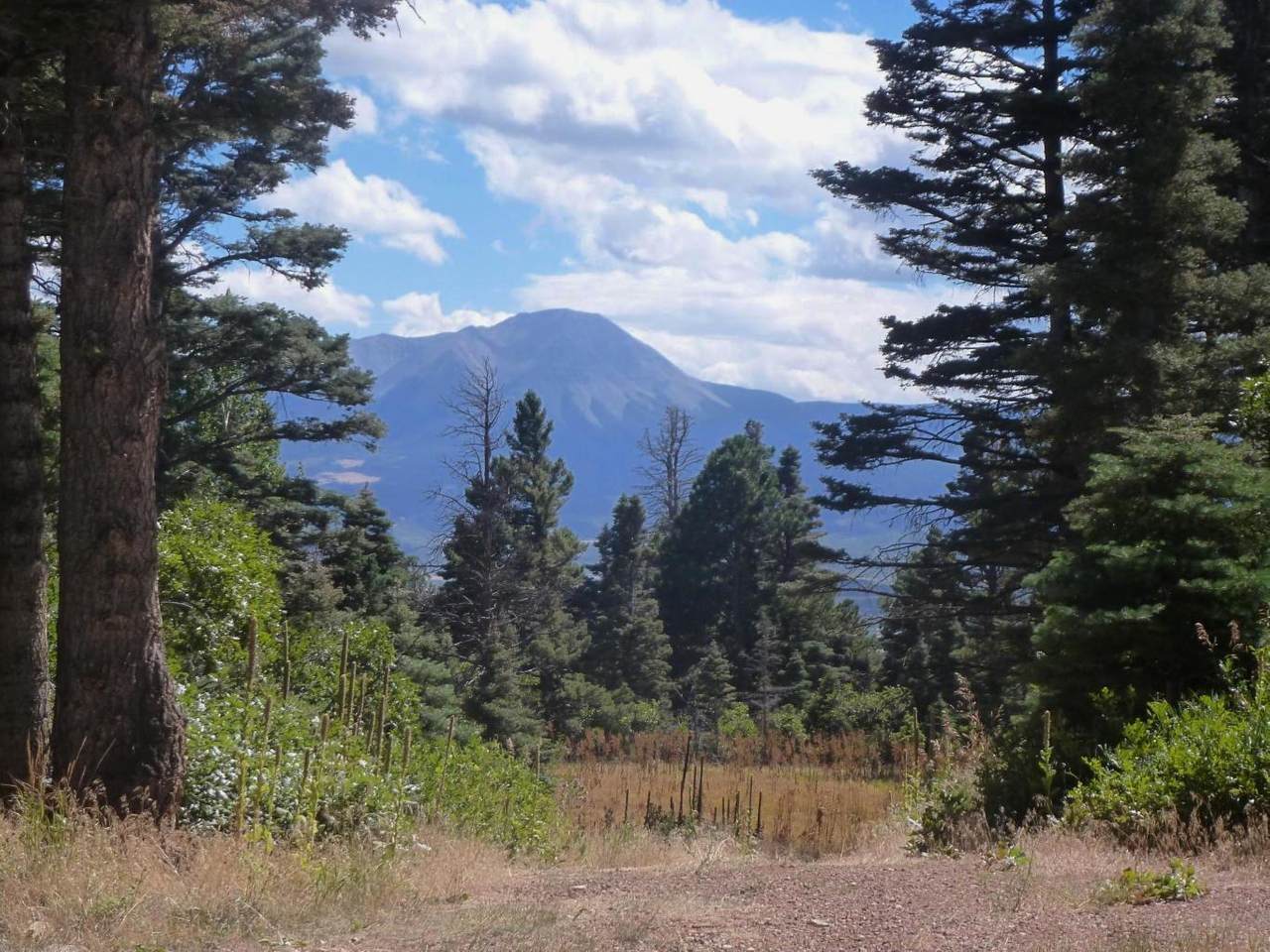 TBD Highway 160 - Photo 1