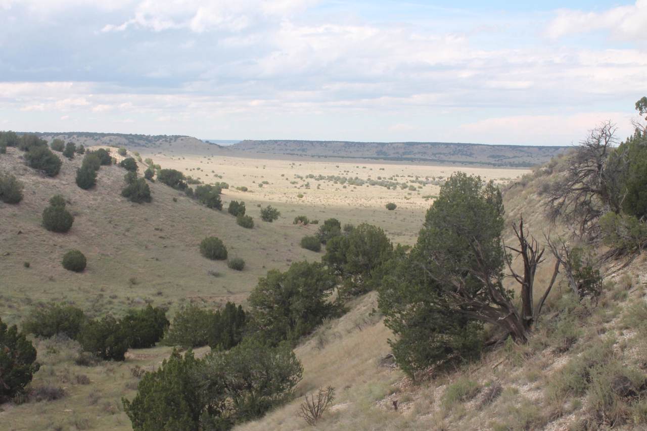 TBD 305+/- AC - Photo 1