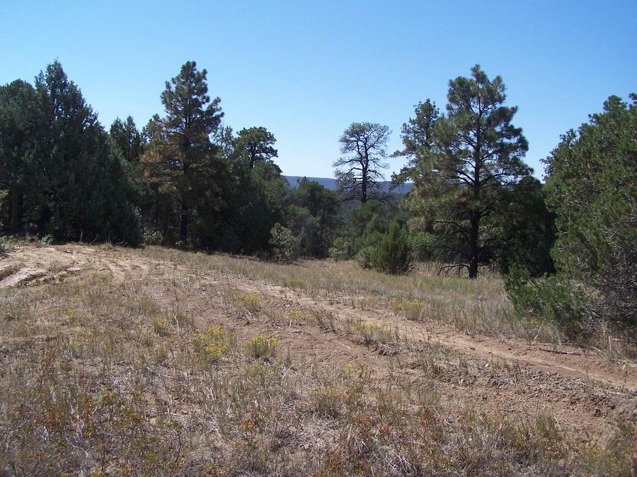 NWNE053264 Timber Canyon Ranch Rd - Photo 1