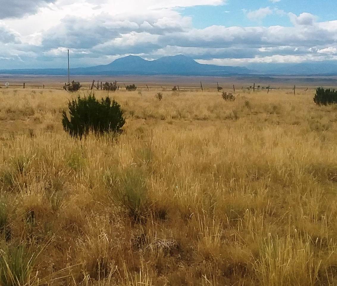 135 Cr 122 Turkey Ridge Ranch - Photo 1