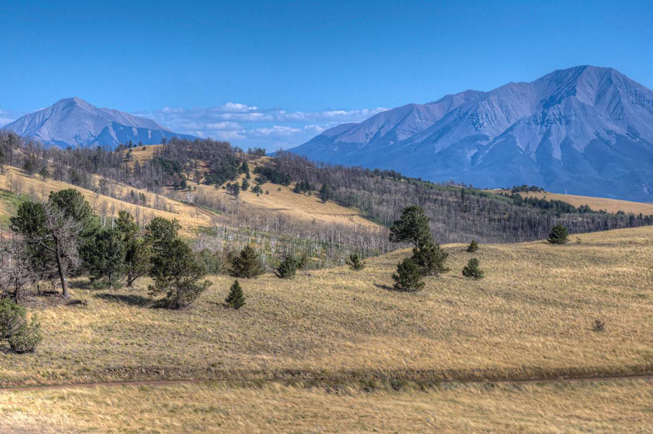 Lot 453 Collinson - Photo 1
