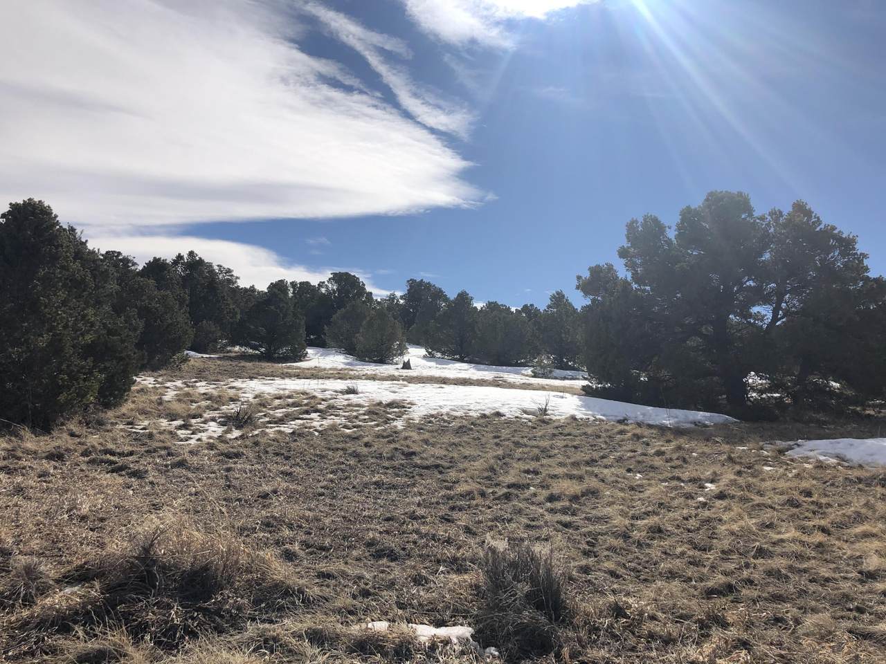 Navajo Ranch Filing 4 - Photo 1