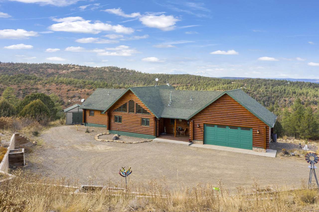33349 Alpine Meadows Drive - Photo 1