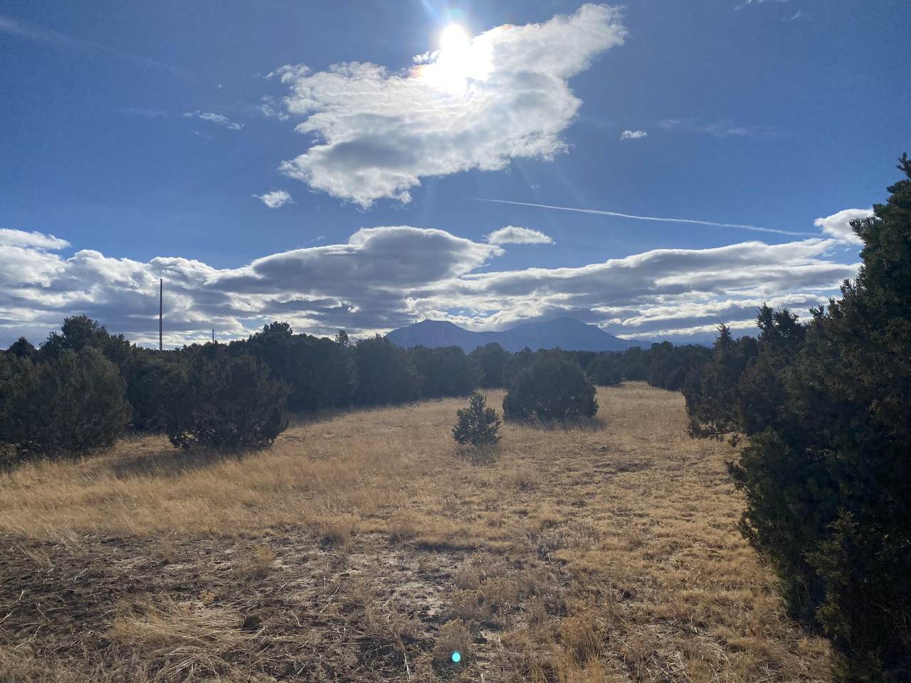 TBD Bear Ridge Road - Photo 1