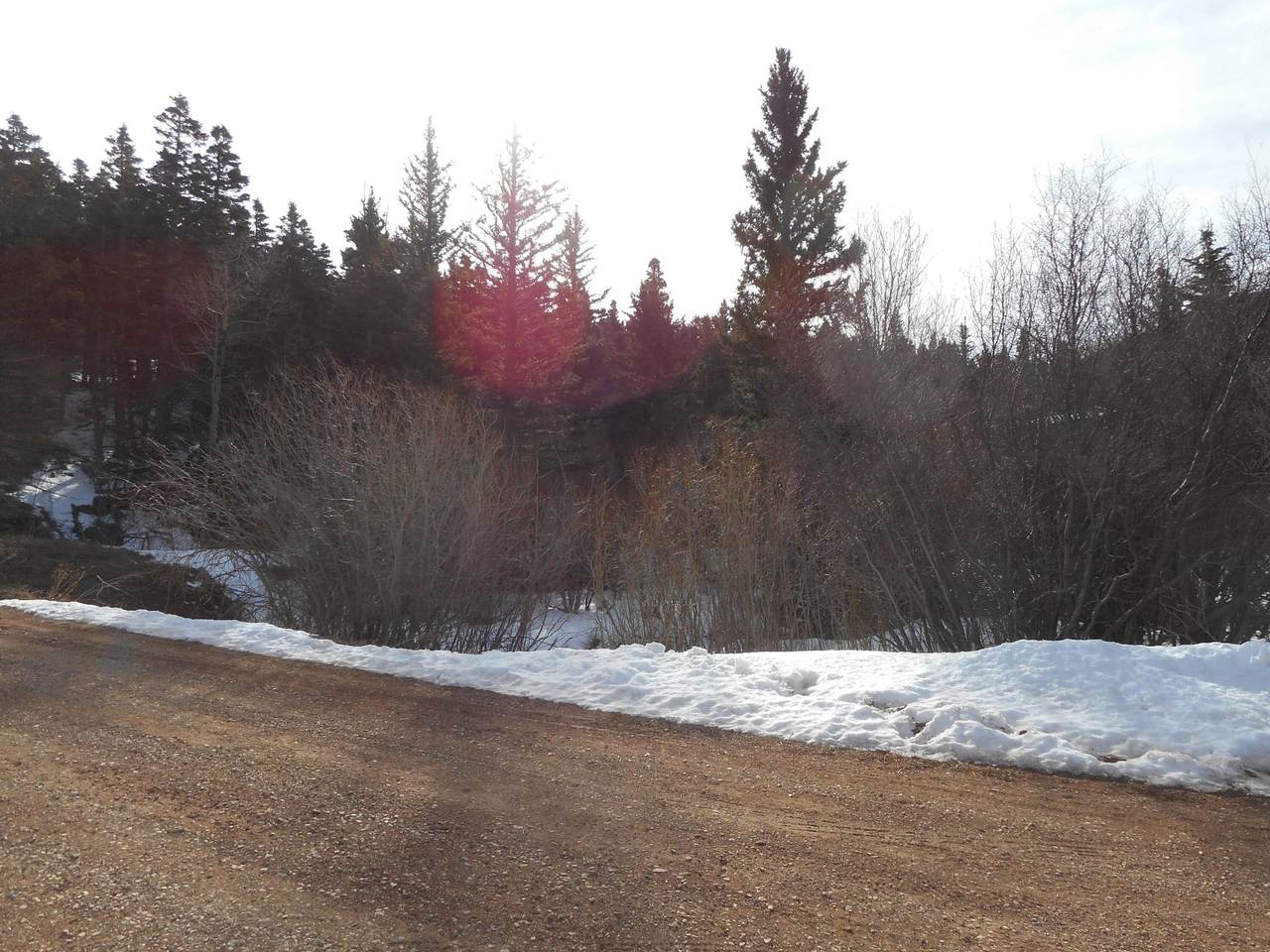TBD Silver Lane - Photo 1