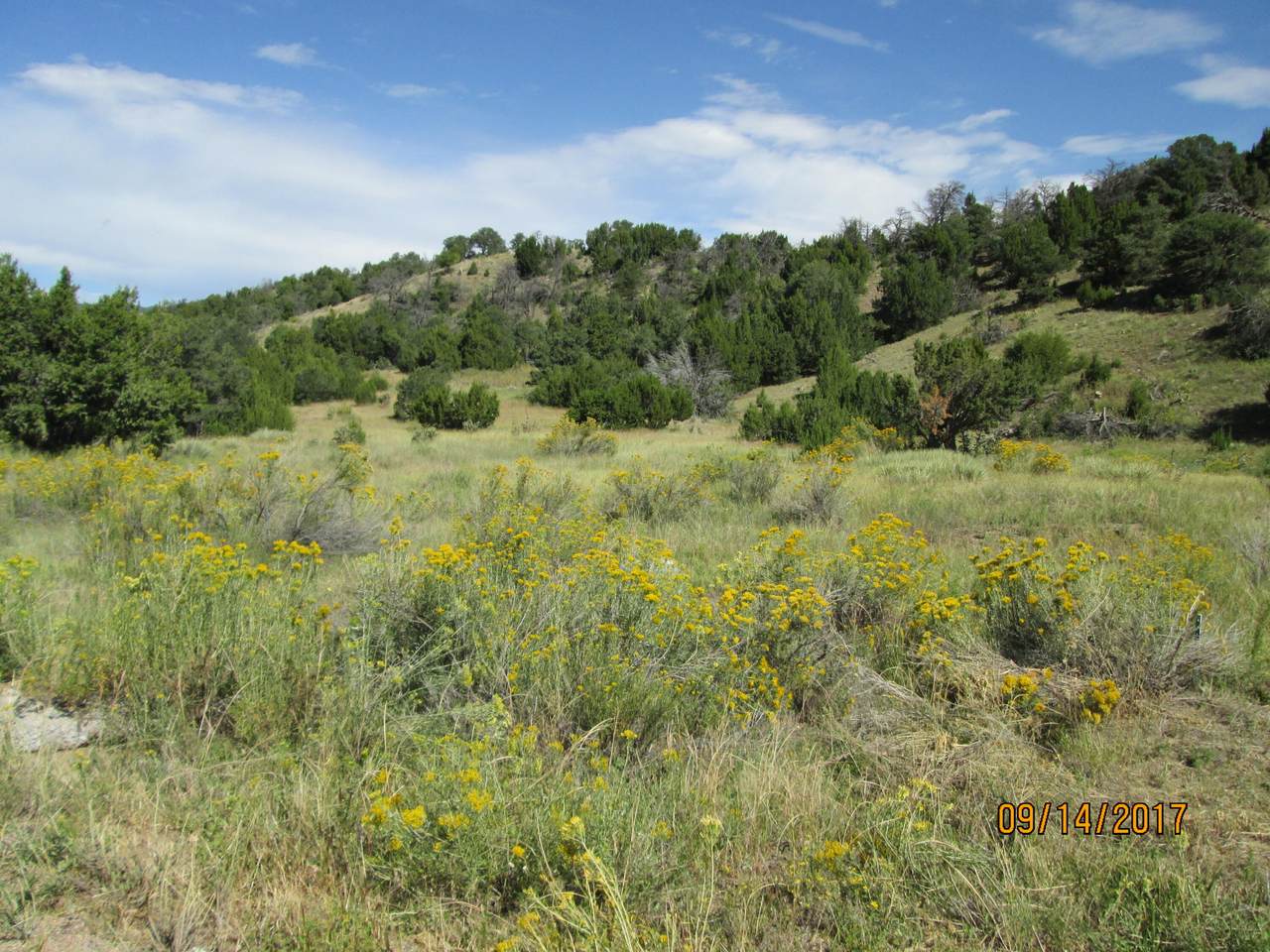Grey Creek Road - Photo 1
