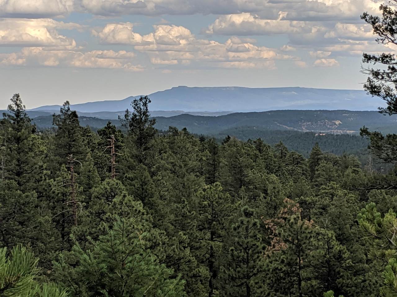 TBD North Fork Ranch - Photo 1