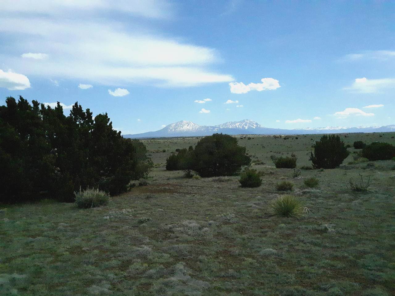TBD Co Rd 504 - Photo 1