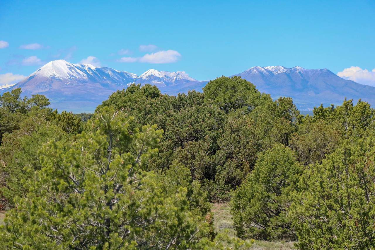 TBD Canyon Springs Rd - Photo 1