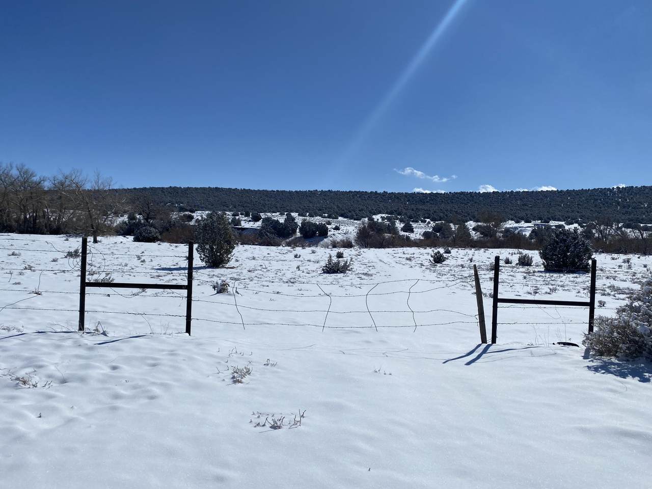 tbd Thacker Rd - Photo 1