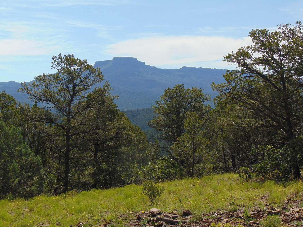 33333 Mesa - Photo 1