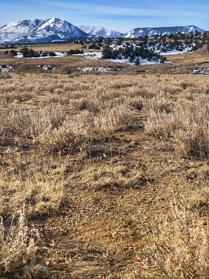 Turkey Creek Ranches - Photo 1