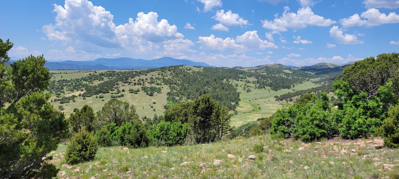 Cap Rock Road - Photo 1