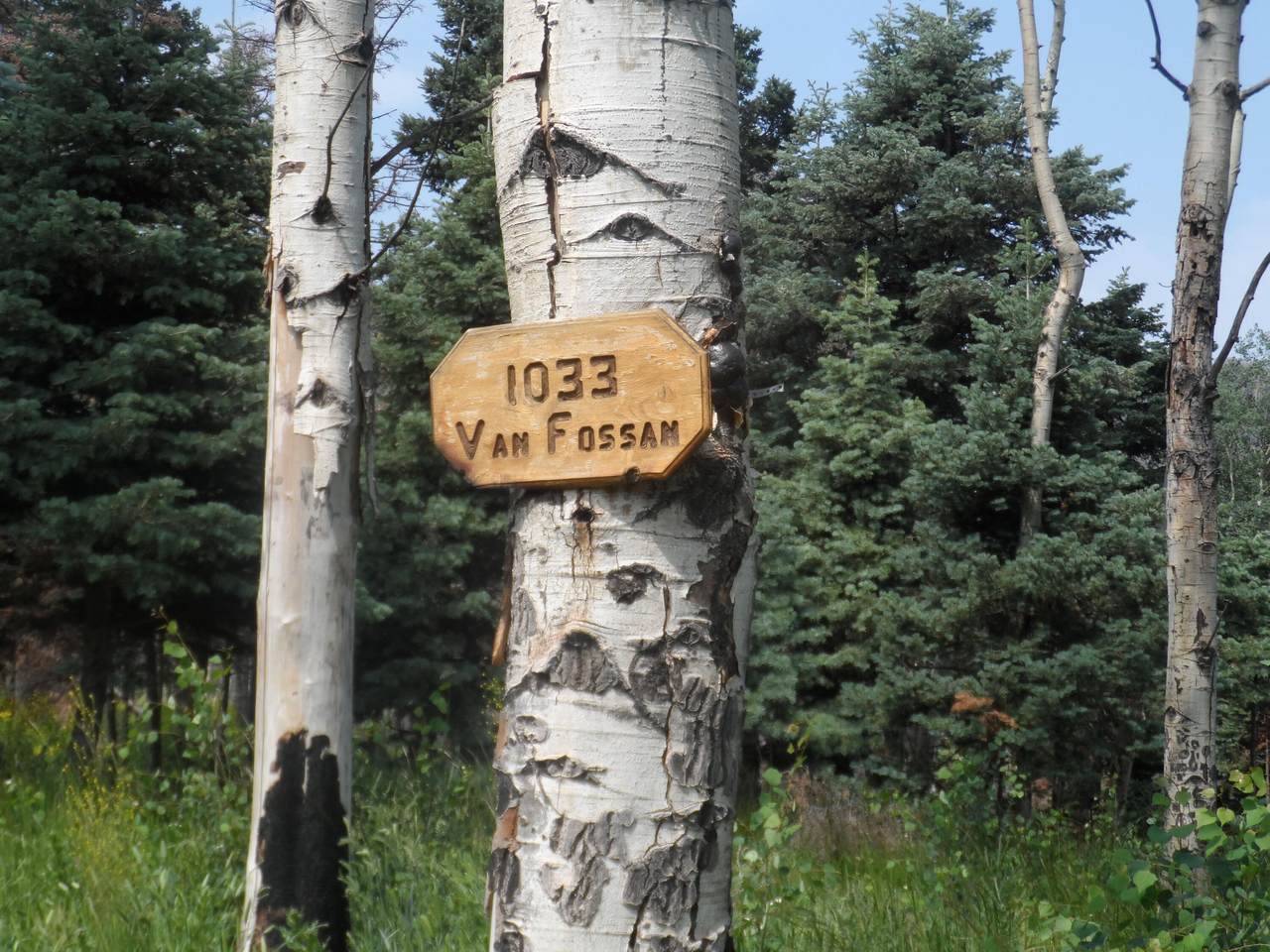 1033 Van Fossan Lane - Photo 1
