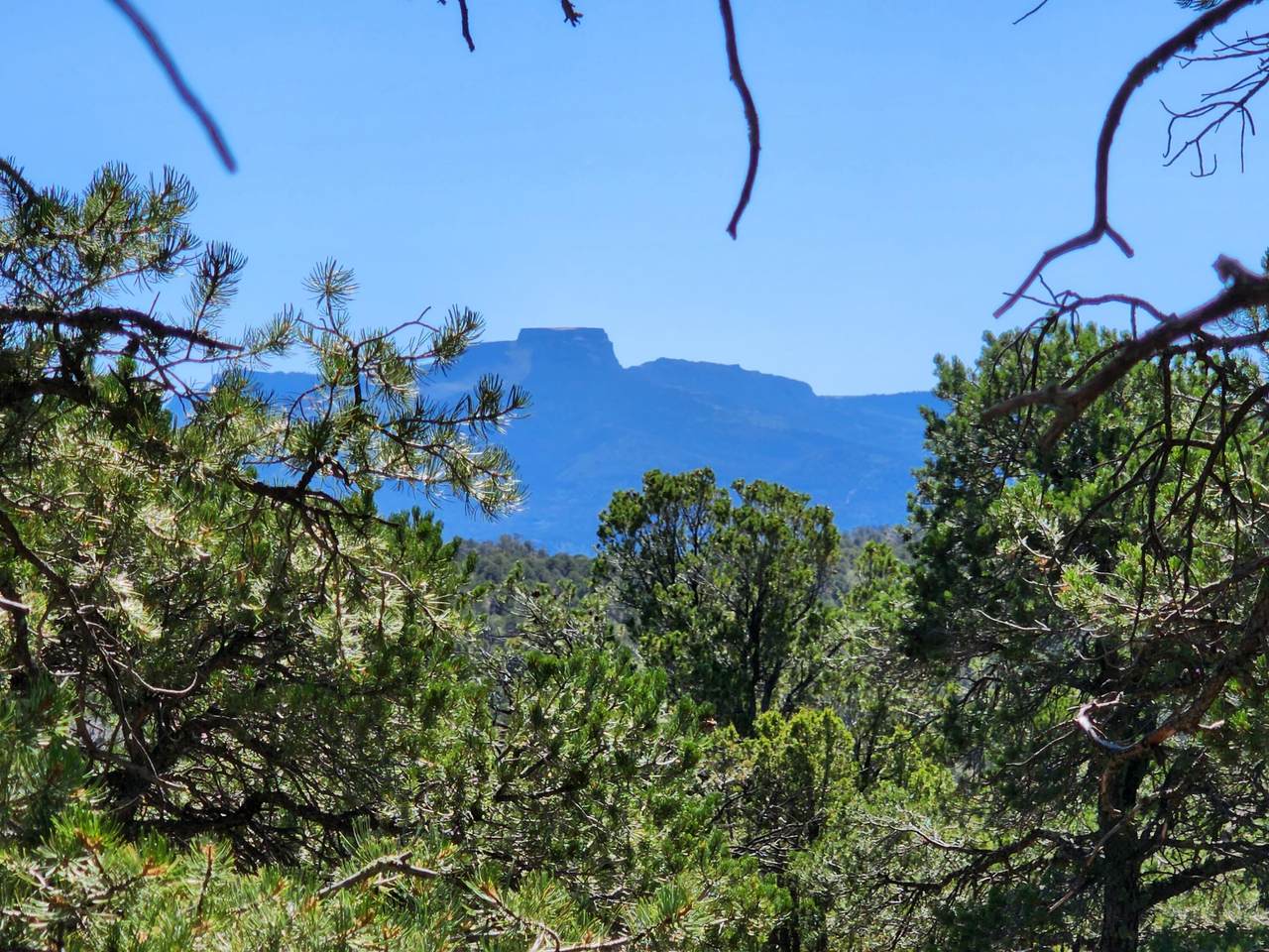 Lot M3 Fisher Peak Ranch - Photo 1