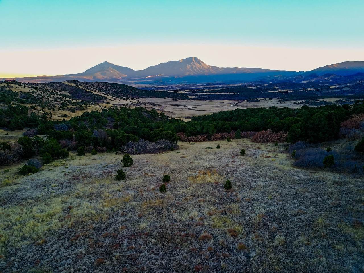 00 Co Rd 441 - Photo 1