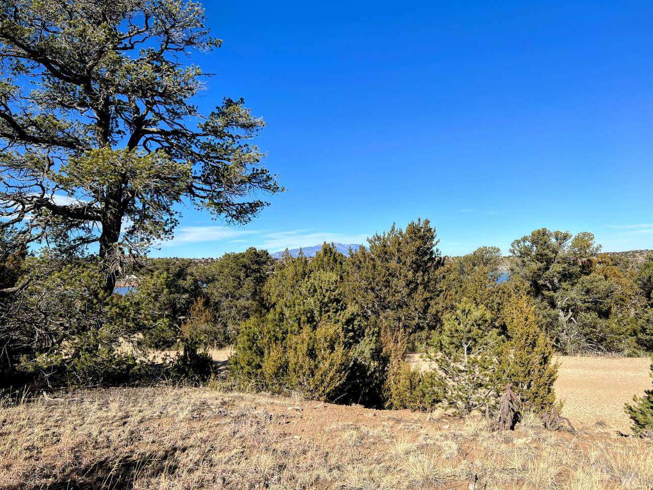 TBD Spanish Peaks Village #1 - Photo 1