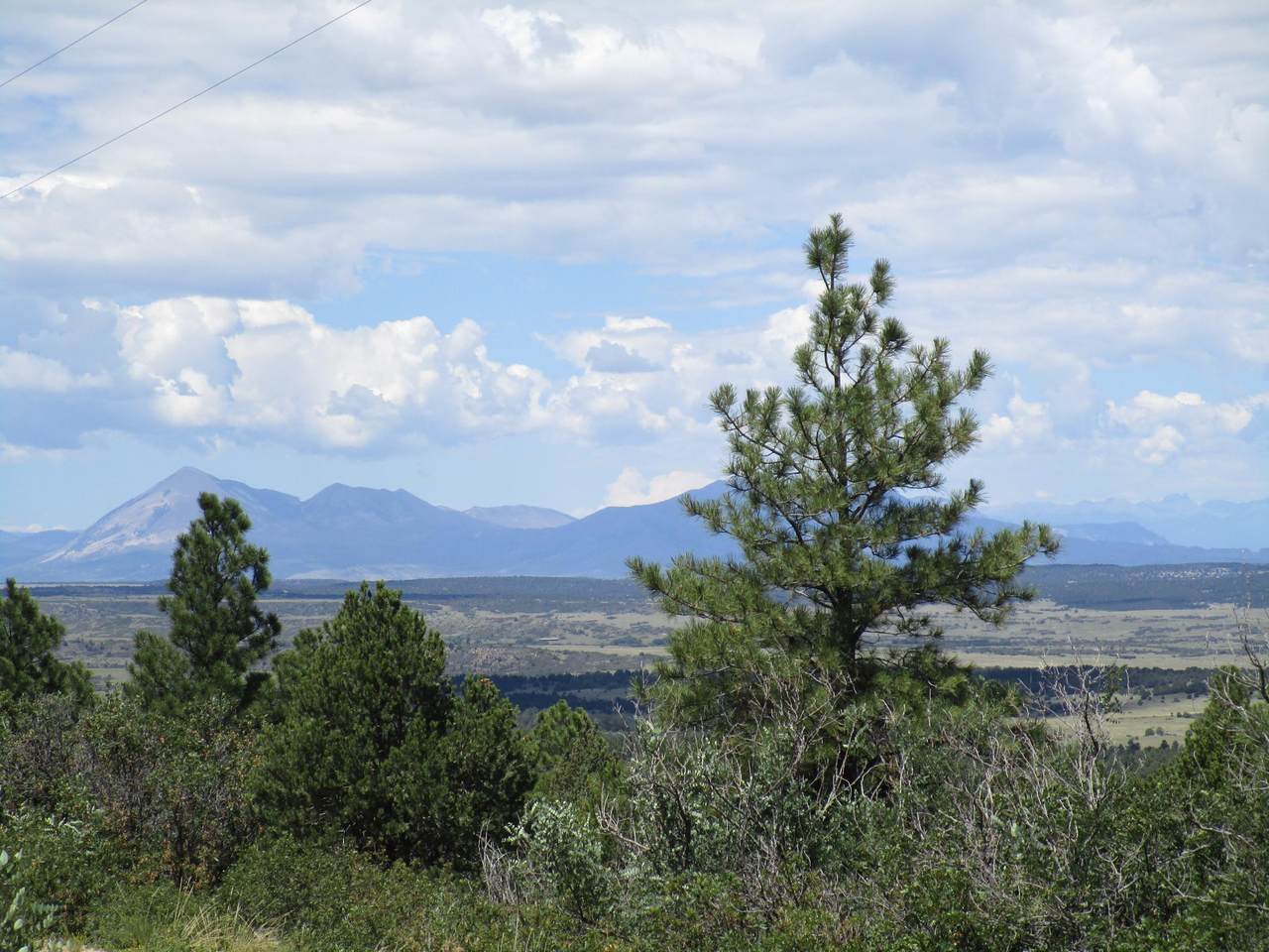 174 & 176 Blackhawk Ranch - Photo 1