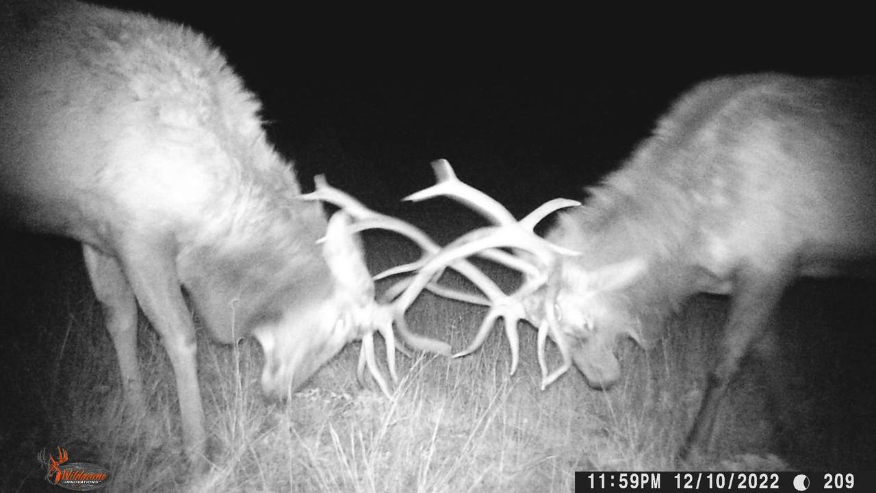 Co. Rd. 55.4 - Photo 1