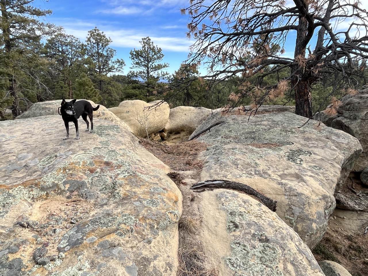TBD Pine Valley - Photo 1