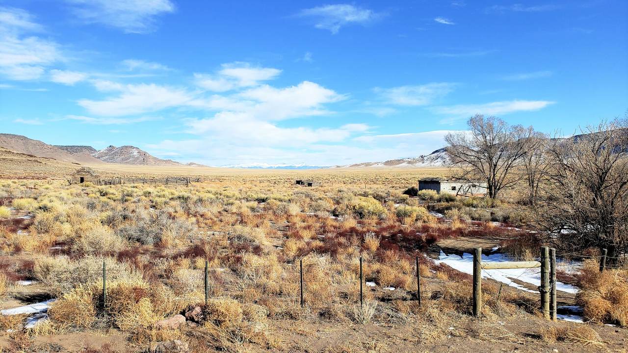 13464 County Road 21 - Photo 1