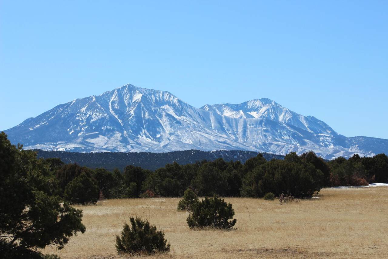 TBD Silver Spurs Ranch #4 - Photo 1