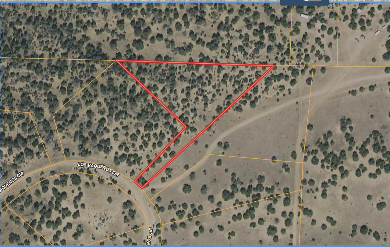 TBD Los Vaqueros Circle - Photo 1