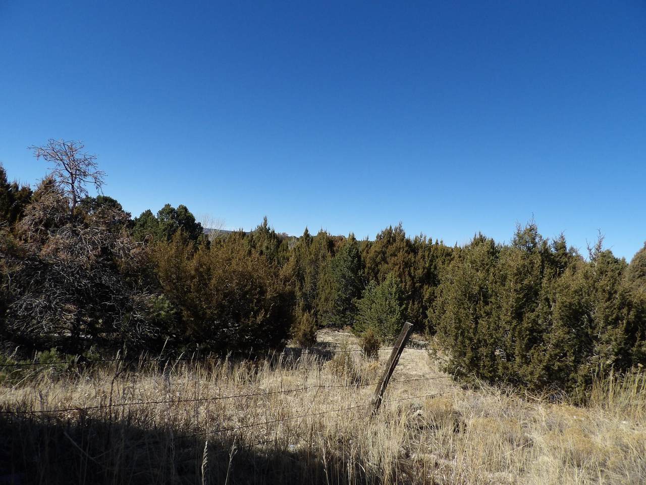 unassigned County Road 69.1 - Photo 1