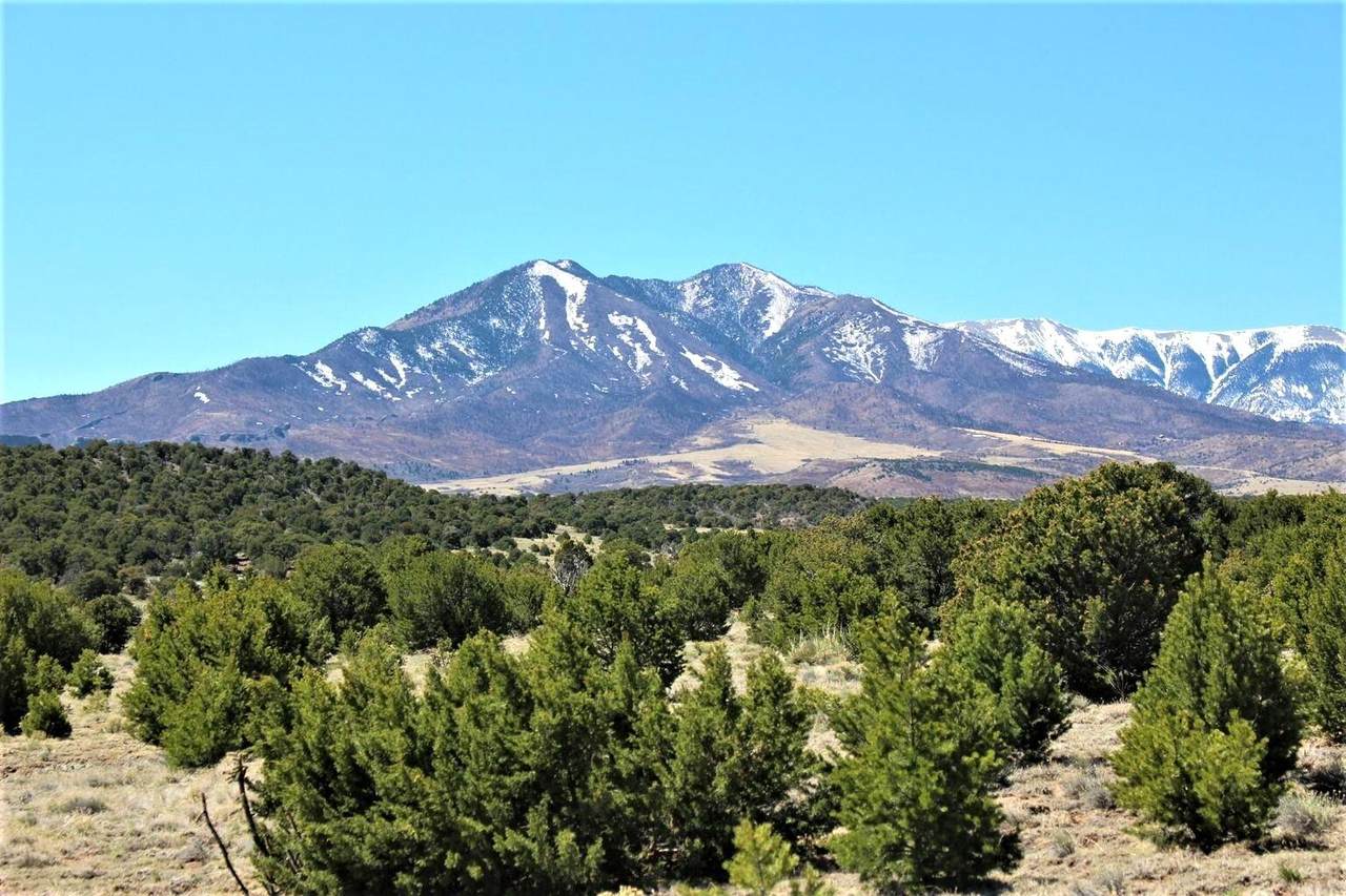 Black Hills Ranch #1 - Photo 1