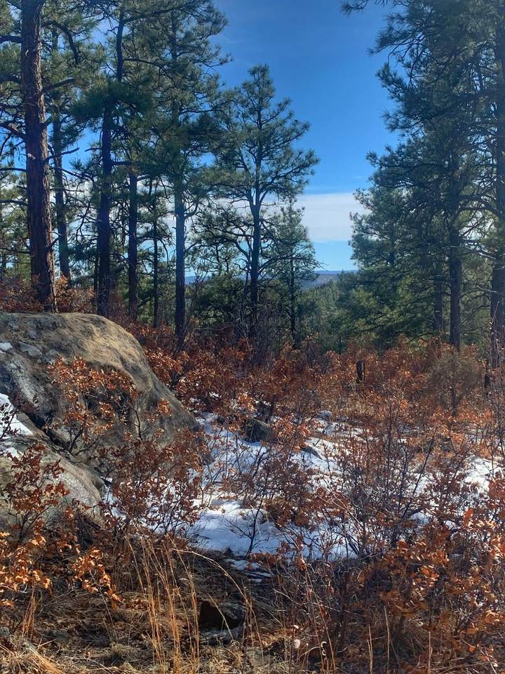 Lot 122 Spanish Highlands - Photo 1