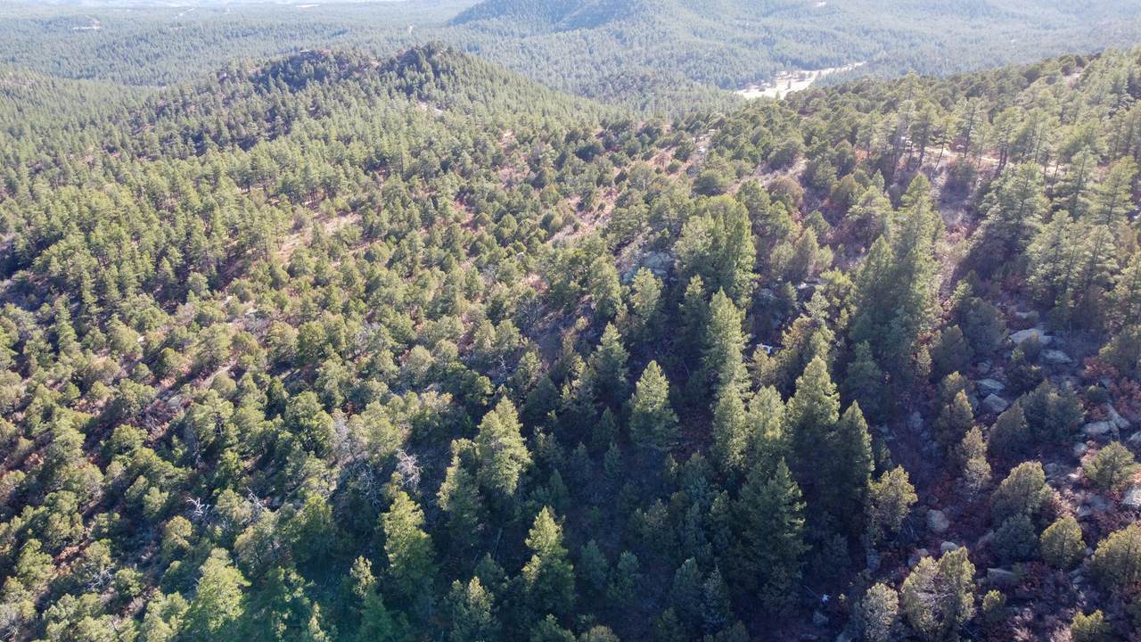 40 Acres Purgarotry Recreation - Photo 1