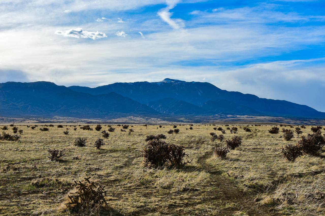 Lot 39 Colorado Buffalo Ranch - Photo 1