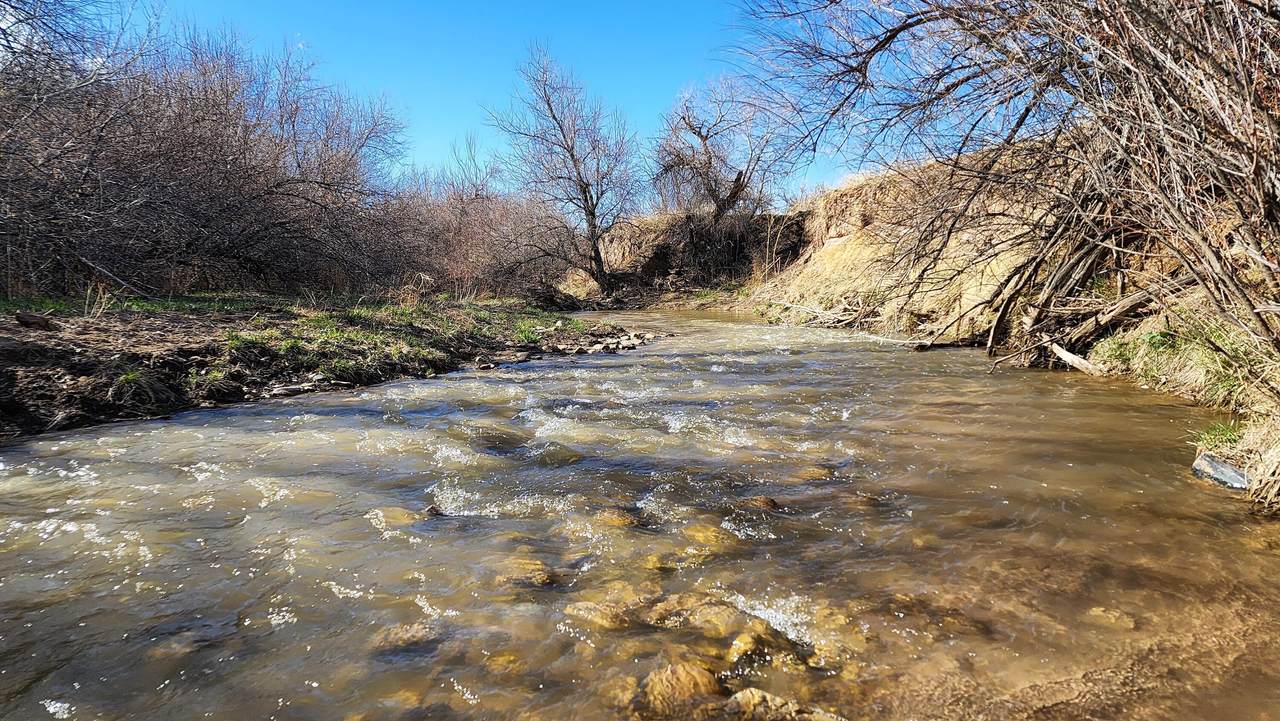 Lot 161 Colorado Land & Livestock - Photo 1