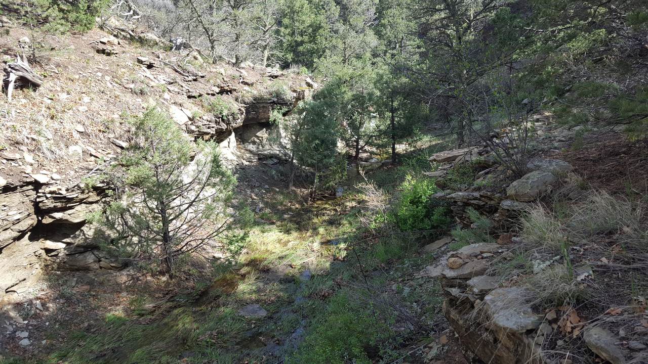 Forbes Canyon Ranch - Photo 1