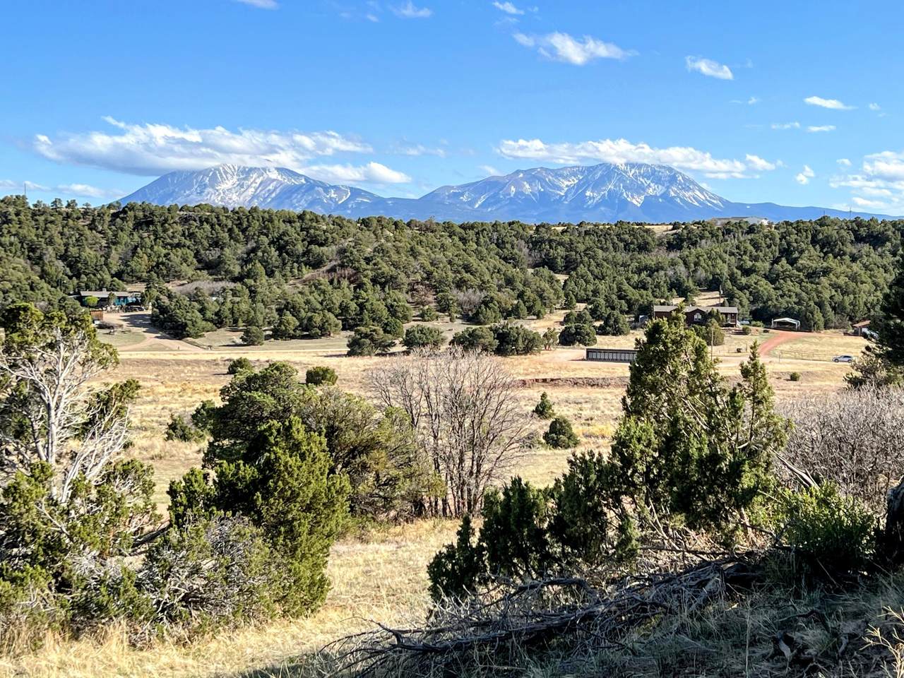 TBD Navajo Ranch #1 - Photo 1