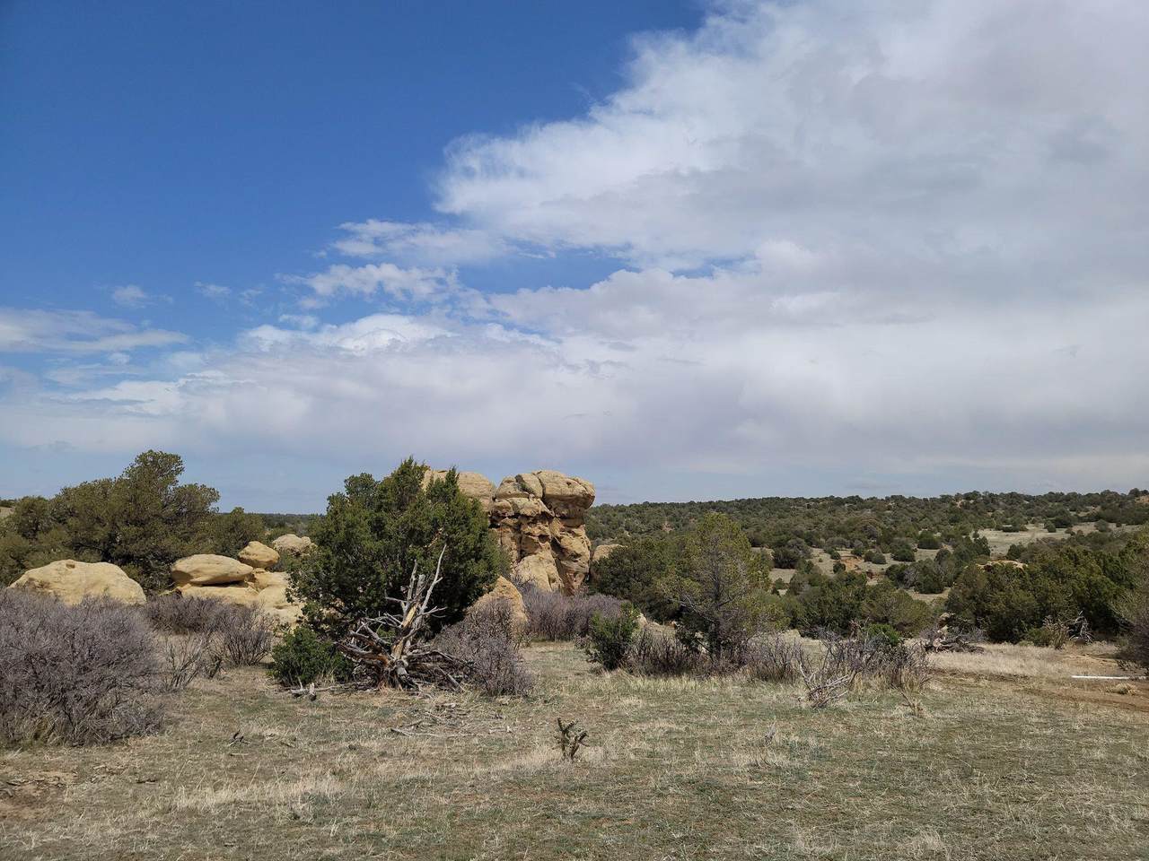 TBD Tract C Twin Lakes Ranches - Photo 1