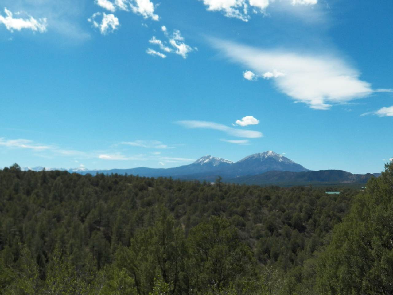 24556 Parsil Canyon Trl - Photo 1